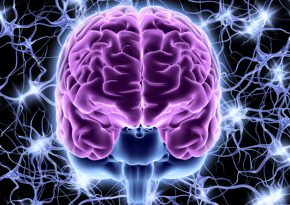 Anatomy and Physiology