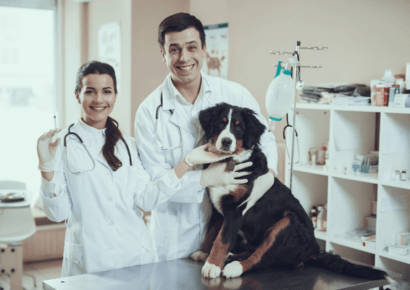 Introduction to Canine Veterinary Science