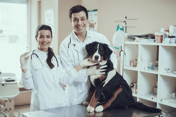 Introduction to Canine Veterinary Science